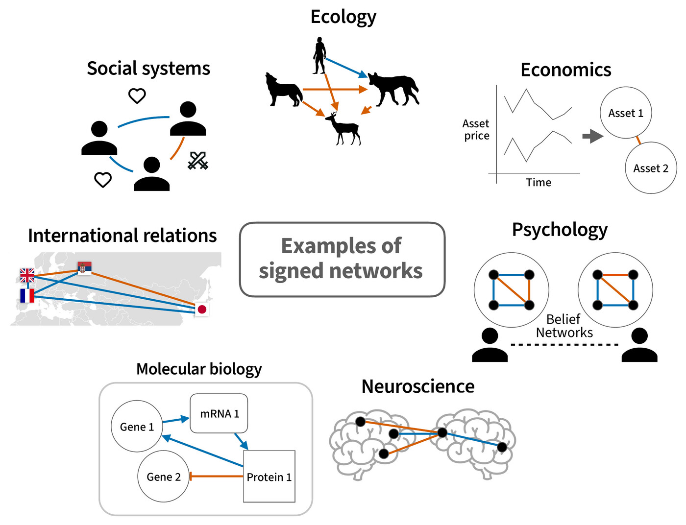 Examples of signed networks across social systems, ecology, economics, international relations, psychology, molecular biology, and neuroscience